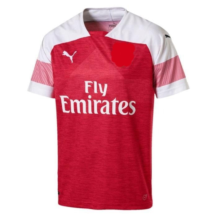 ARS Home Jersey 2018/19 [Superior Quality]